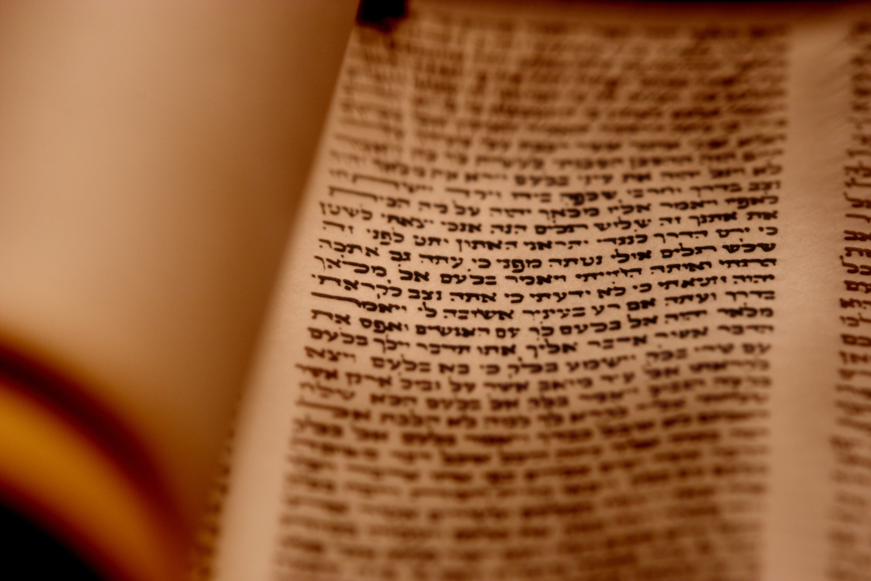 Torah Scroll Closeup